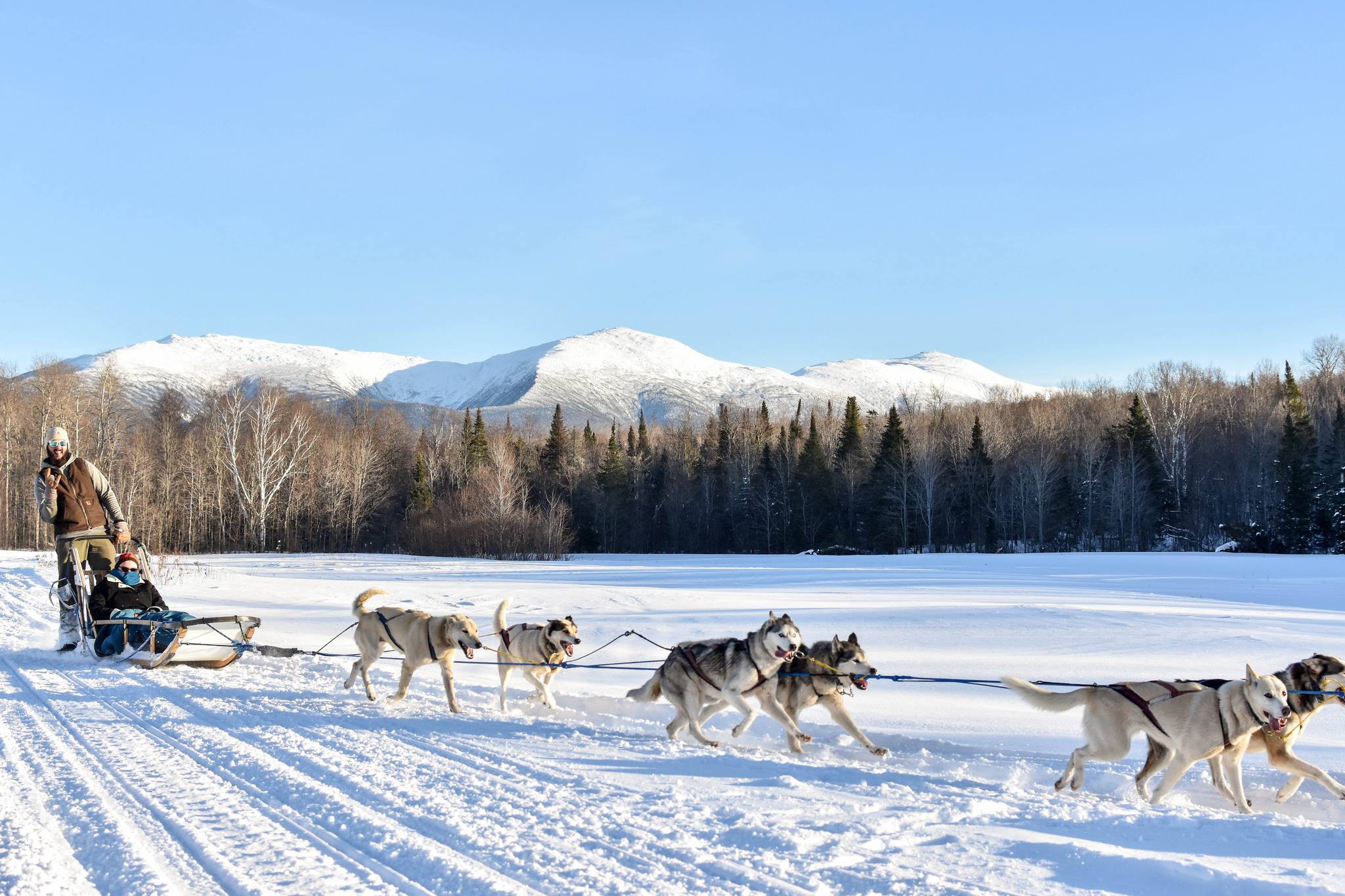 Snowless Tours - Muddy Paw Sled Dog Kennel NH Dog Sledding